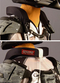 PCS Neck Support System